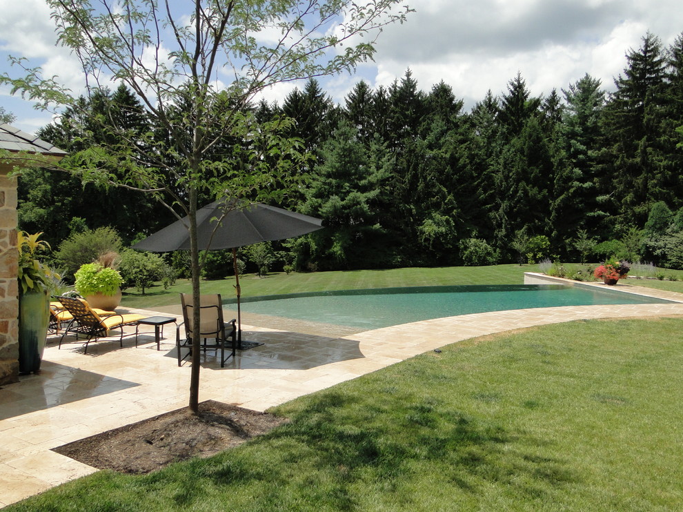 Infinity Edge Elements - Lower Merion, PA - Modern - Pool ...