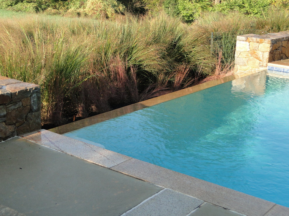 Imagen de piscina infinita clásica grande rectangular en patio trasero con suelo de hormigón estampado