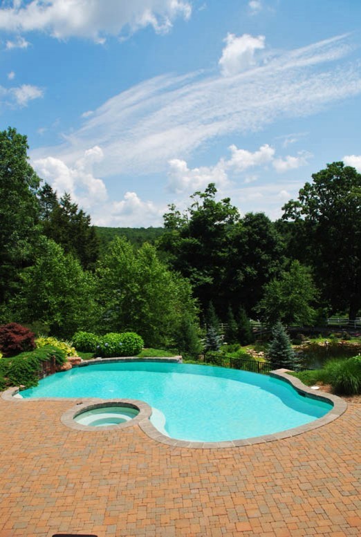 Idee per una grande piscina a sfioro infinito moderna personalizzata dietro casa con una vasca idromassaggio e cemento stampato