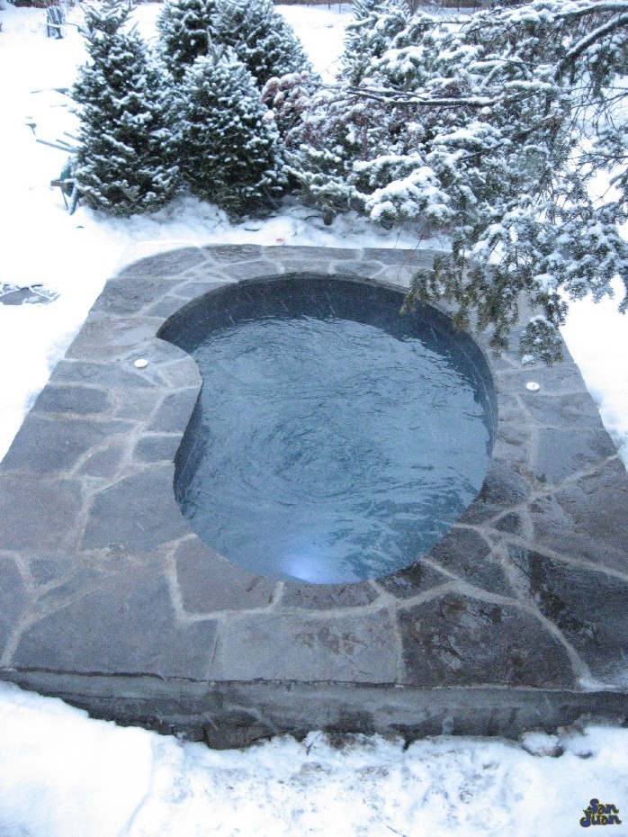 Photo of a medium sized scandinavian back custom shaped hot tub in Ottawa with natural stone paving.