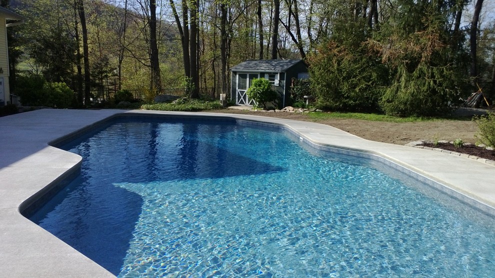 Immagine di una piscina naturale minimal personalizzata di medie dimensioni e dietro casa con lastre di cemento
