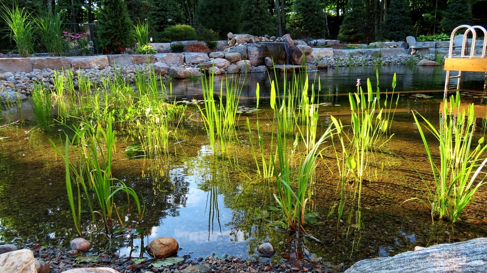 Pool fountain - large traditional backyard stone and custom-shaped natural pool fountain idea in Toronto