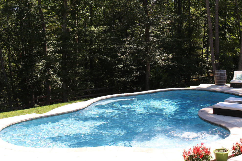 Inspiration for a medium sized rustic front custom shaped natural swimming pool in DC Metro with concrete slabs.