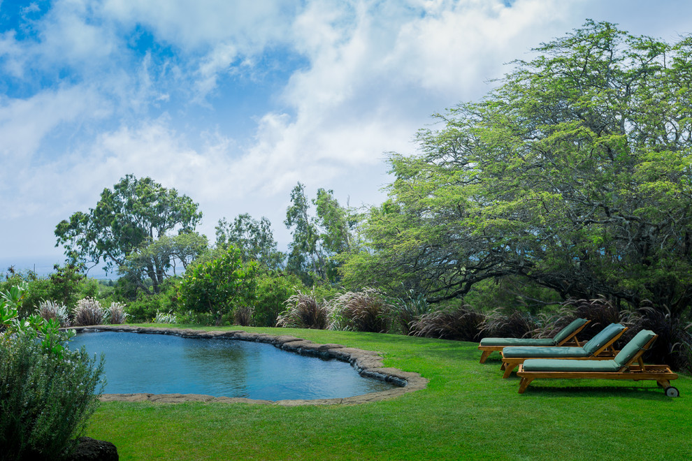 Diseño de piscina natural exótica de tamaño medio a medida en patio lateral con suelo de hormigón estampado