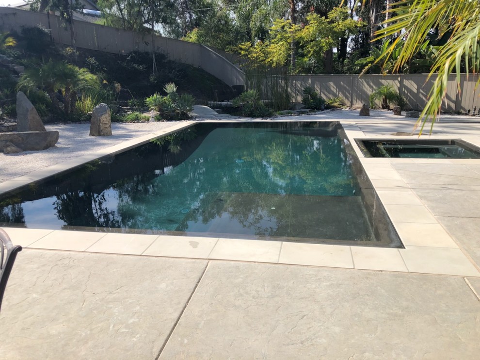 Свежая идея для дизайна: большой спортивный, прямоугольный бассейн на заднем дворе в современном стиле с джакузи и мощением тротуарной плиткой - отличное фото интерьера