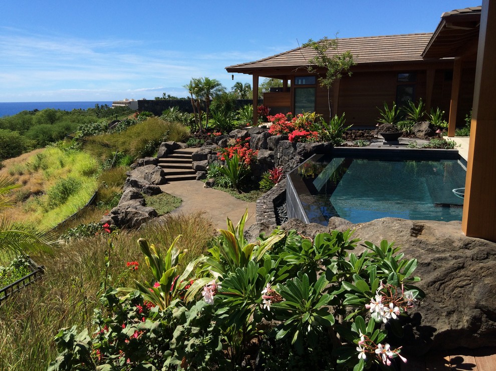 Diseño de casa de la piscina y piscina infinita tropical de tamaño medio a medida en patio trasero con adoquines de piedra natural