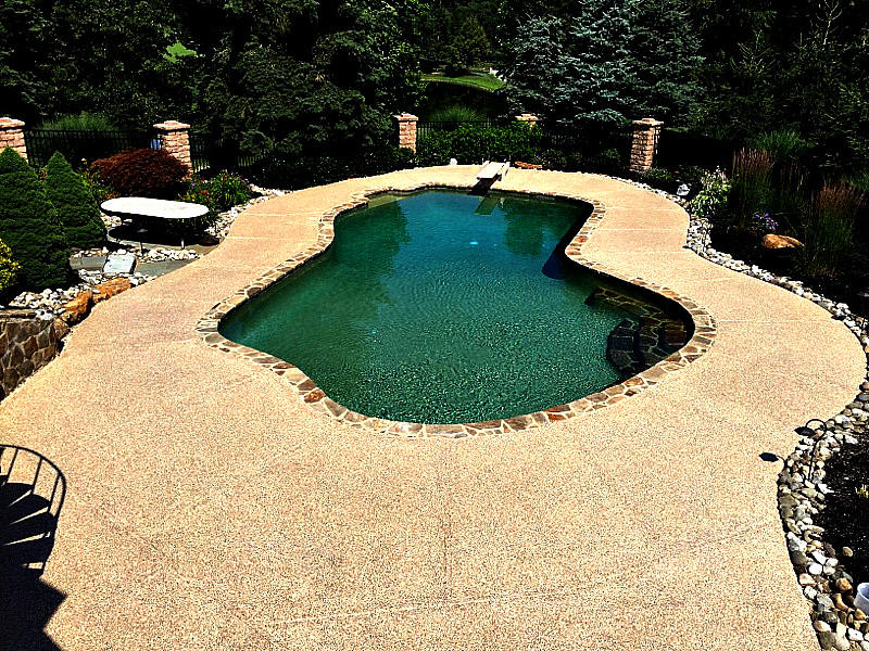 На фото: огромный естественный бассейн произвольной формы на заднем дворе в стиле рустика с покрытием из бетонных плит с