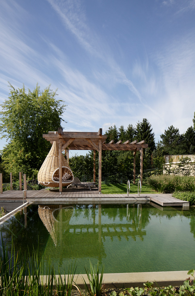 Пример оригинального дизайна: большой естественный бассейн произвольной формы на заднем дворе в современном стиле с настилом