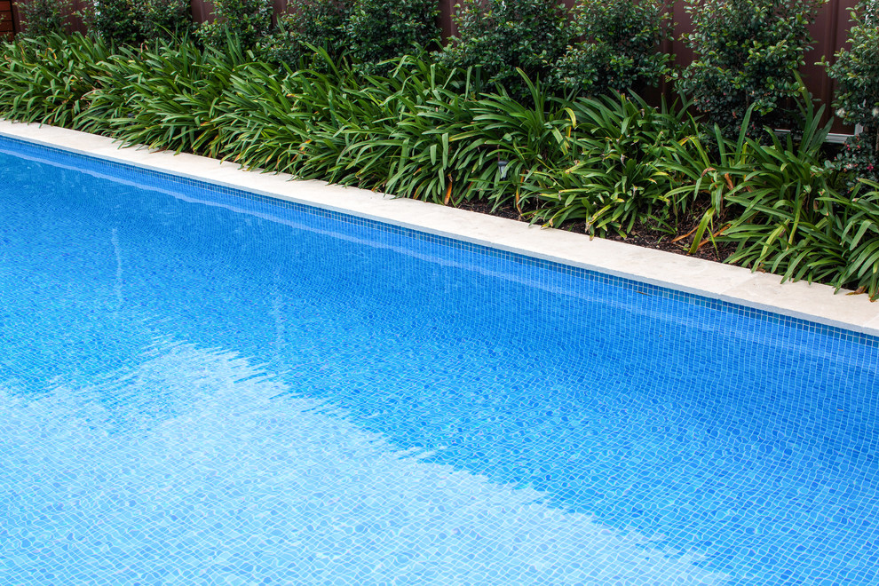 Diseño de piscina minimalista de tamaño medio rectangular en patio trasero con adoquines de piedra natural