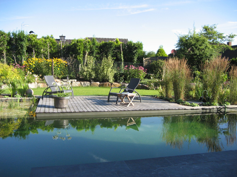 Modelo de piscina natural tradicional grande a medida en patio trasero con entablado