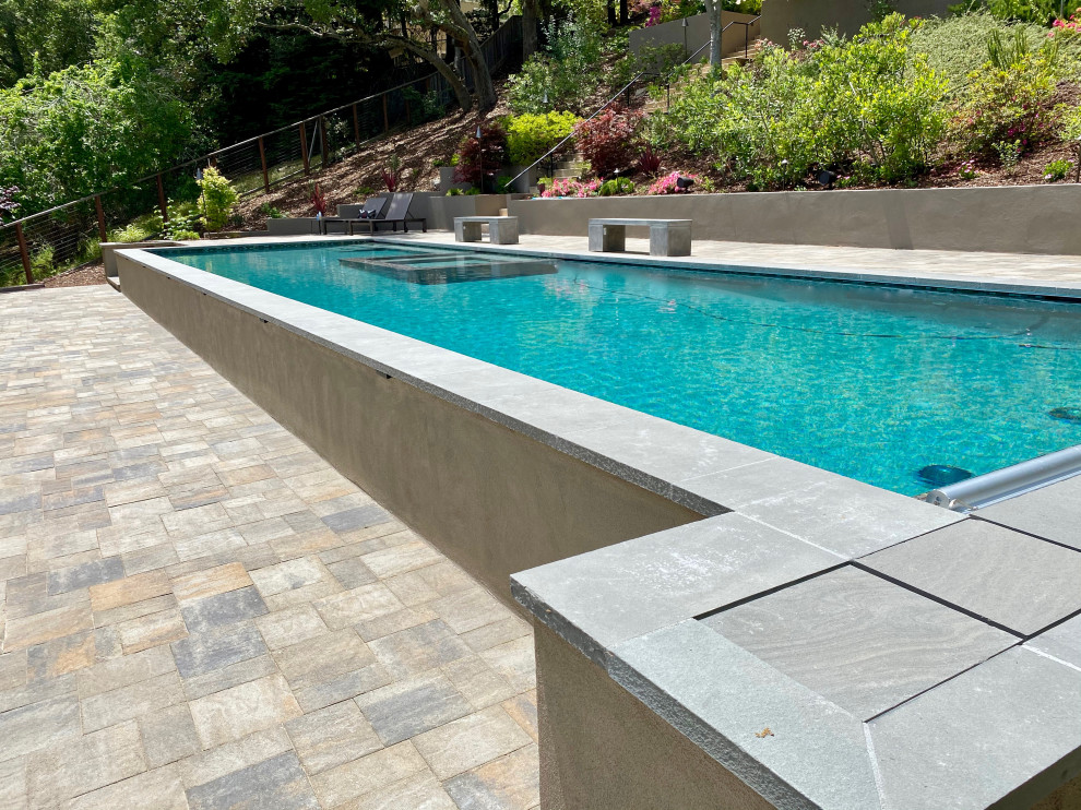 This is an example of an expansive modern back rectangular lengths swimming pool in San Francisco with with pool landscaping and concrete paving.