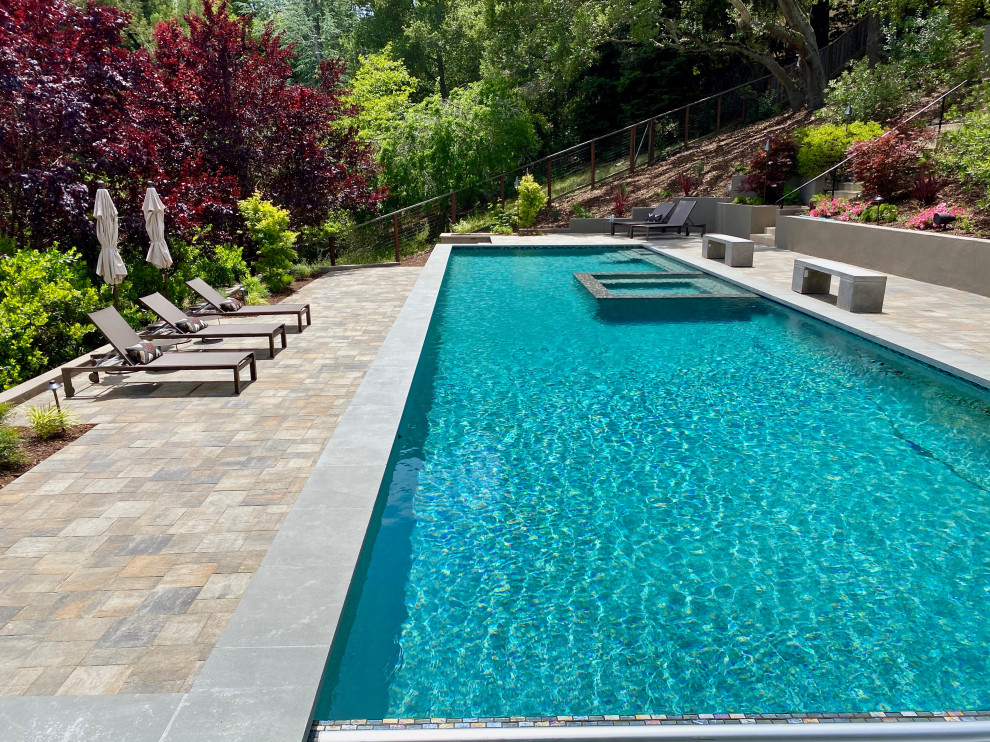 Idee per un'ampia piscina monocorsia moderna rettangolare dietro casa con paesaggistica bordo piscina e pavimentazioni in cemento