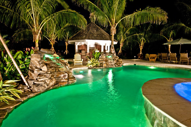 Lagoon Freeform Swimming Pool With Raised Spa And Led Lights In Coral Springs Tropical