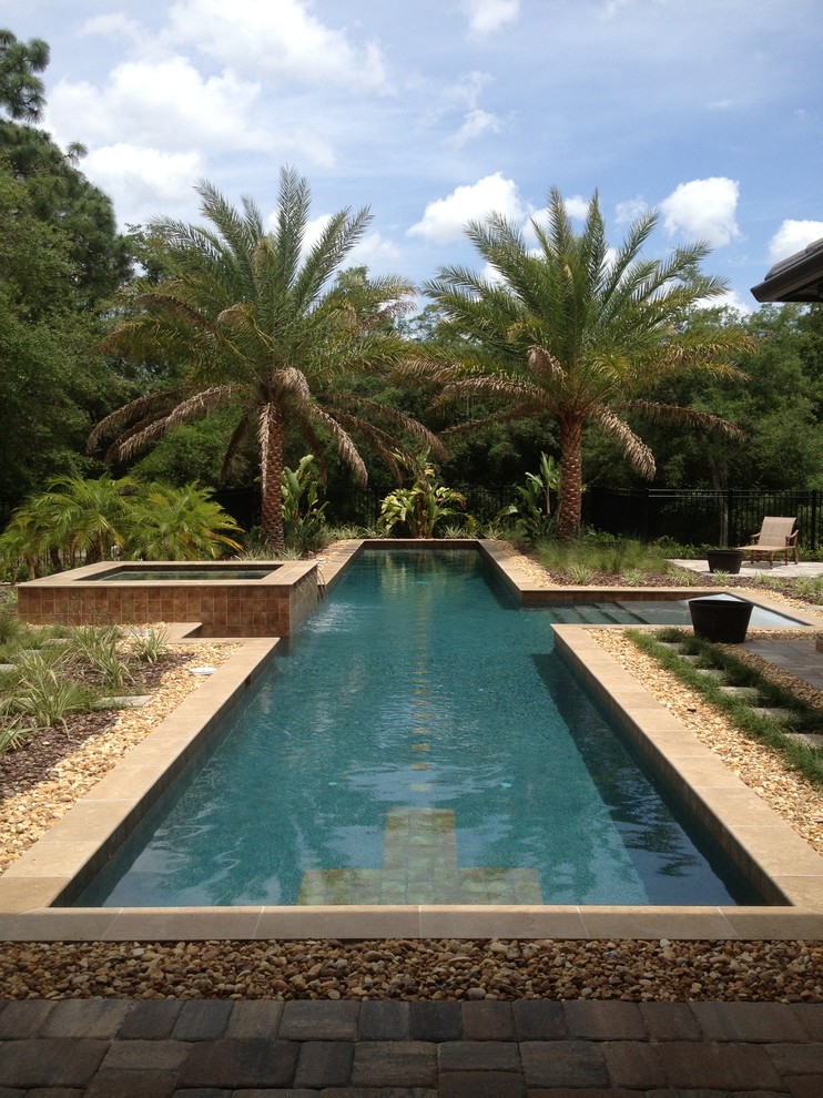 Imagen de piscina alargada tropical grande rectangular en patio trasero con gravilla