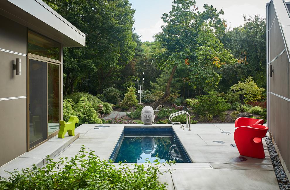 Immagine di una piscina moderna rettangolare in cortile con una vasca idromassaggio e lastre di cemento