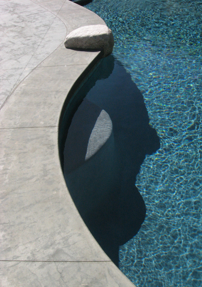 Modelo de piscina retro de tamaño medio tipo riñón en patio trasero con suelo de hormigón estampado