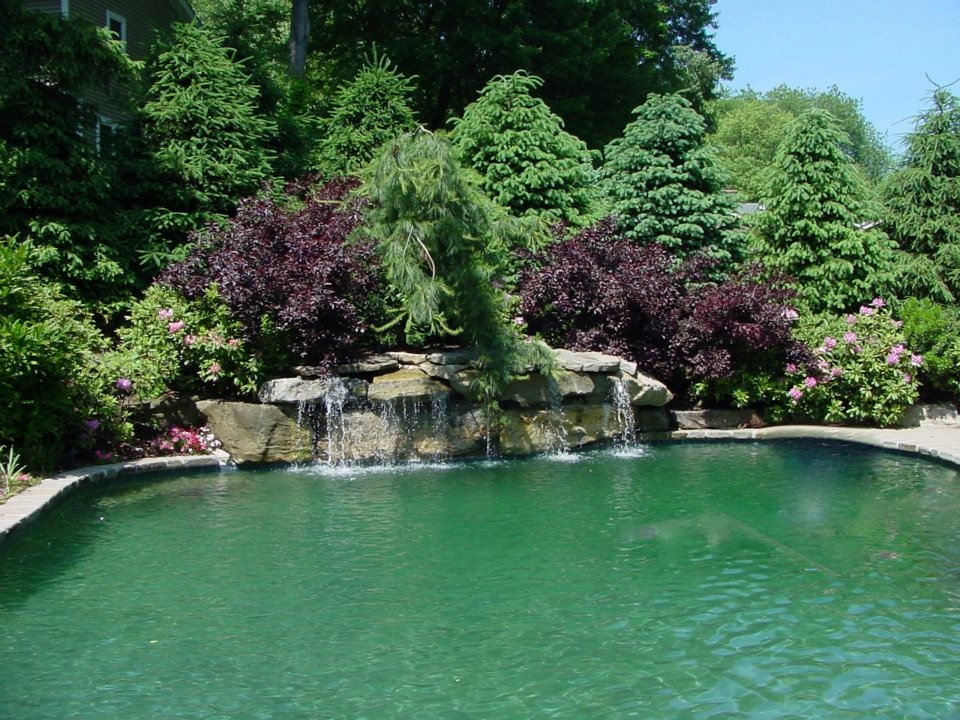 Diseño de piscina con fuente natural tradicional grande redondeada en patio trasero con adoquines de hormigón