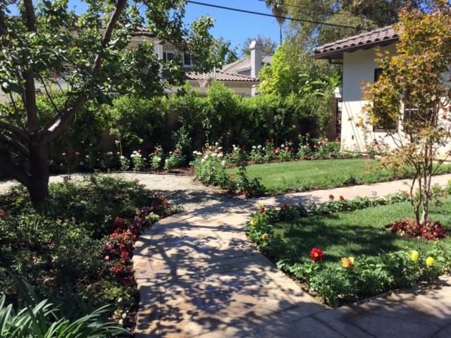 This is an example of a classic garden in Los Angeles.