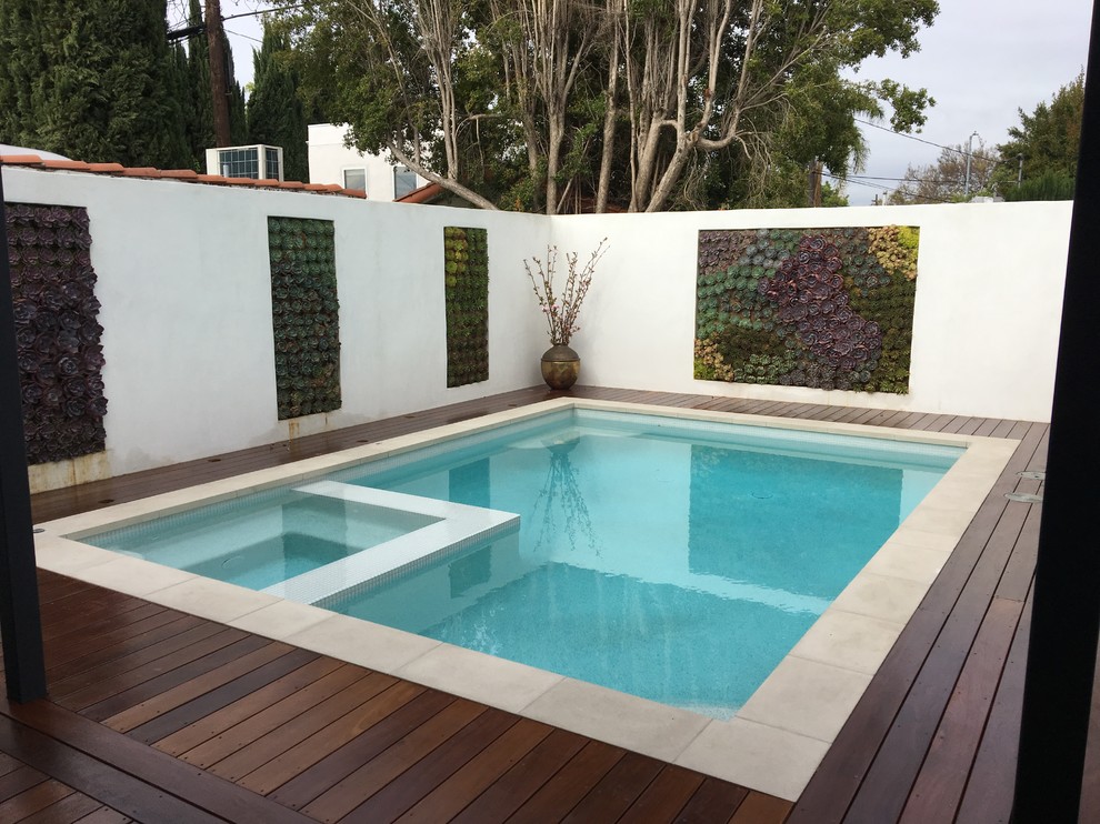Idee per una piccola piscina monocorsia contemporanea rettangolare dietro casa con una vasca idromassaggio e piastrelle