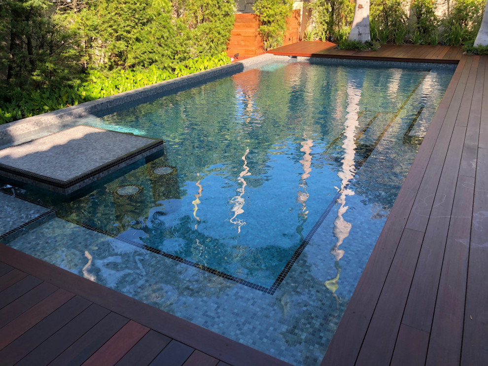 Modelo de casa de la piscina y piscina natural contemporánea de tamaño medio rectangular en patio trasero