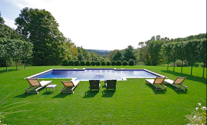 Idee per una piscina naturale minimalista personalizzata di medie dimensioni e dietro casa con pavimentazioni in cemento