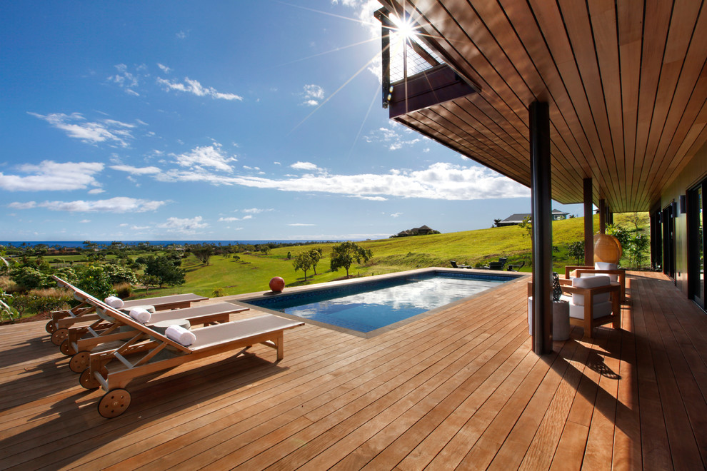 Aménagement d'une piscine exotique de taille moyenne et rectangle avec une terrasse en bois.