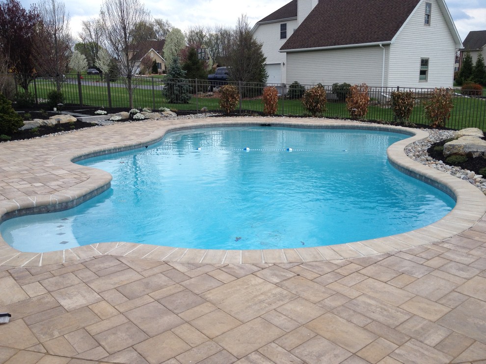 Esempio di una piscina naturale tradizionale personalizzata dietro casa con pavimentazioni in cemento