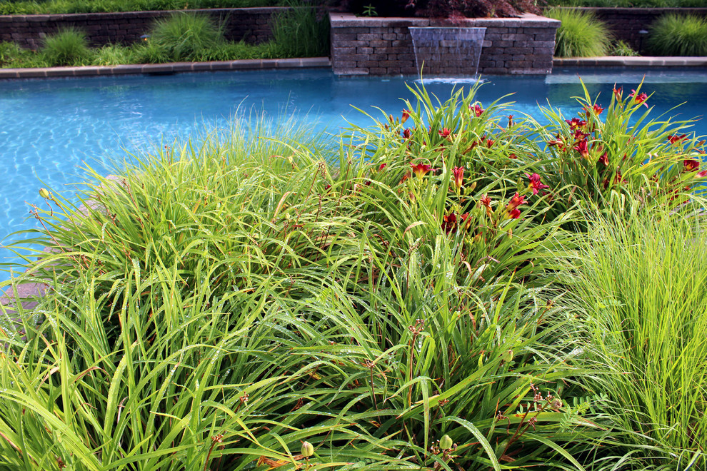 Cette image montre une piscine naturelle et arrière traditionnelle rectangle avec des pavés en béton.