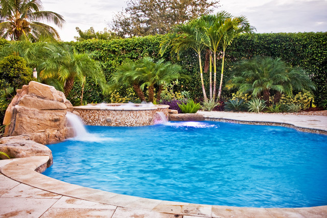 Lucci Residence - Lagoon/Freeform - Tropical - Pool - Miami - by Van ...