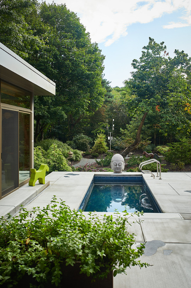 Diseño de piscina minimalista rectangular en patio trasero