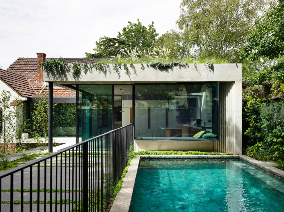Foto de piscina natural minimalista grande rectangular en patio trasero con adoquines de piedra natural