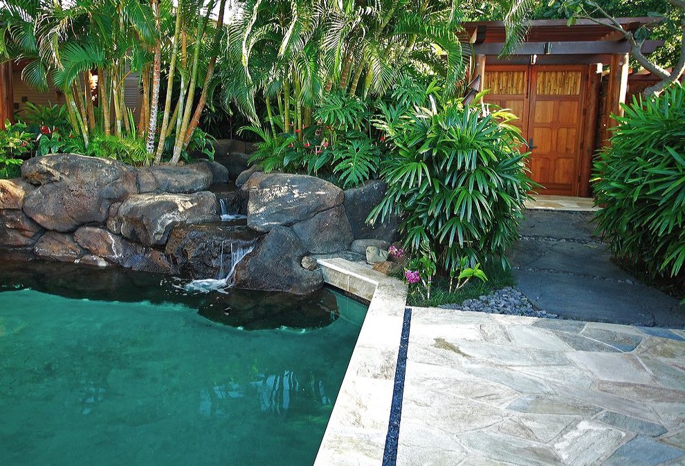 Ispirazione per una piscina tropicale