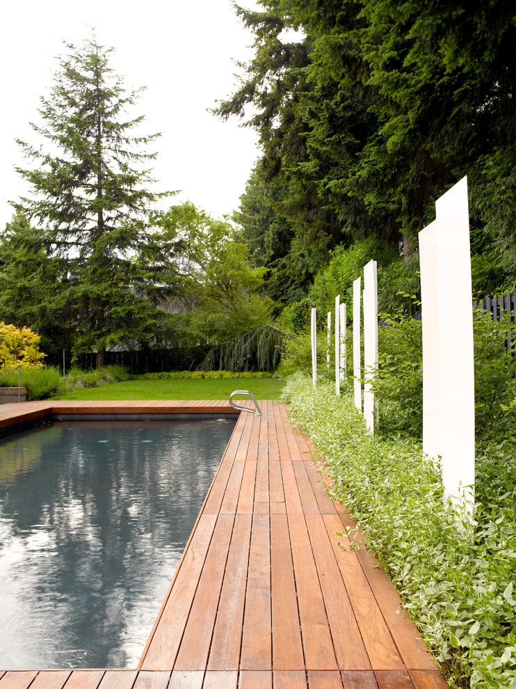 Ejemplo de piscina contemporánea rectangular en patio trasero con entablado