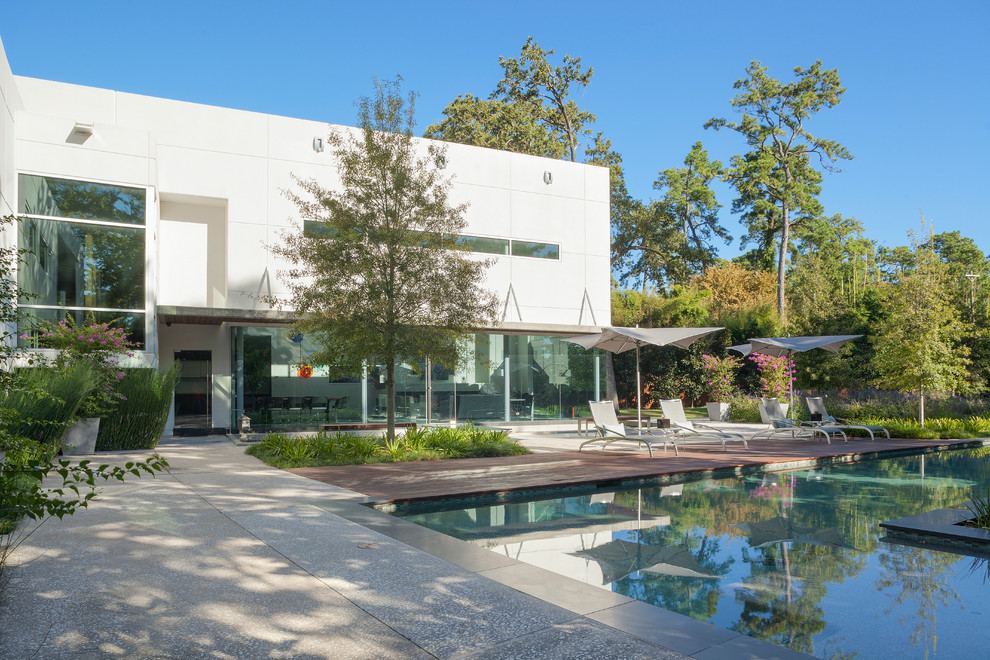 Diseño de piscina natural minimalista de tamaño medio rectangular en patio trasero con adoquines de hormigón