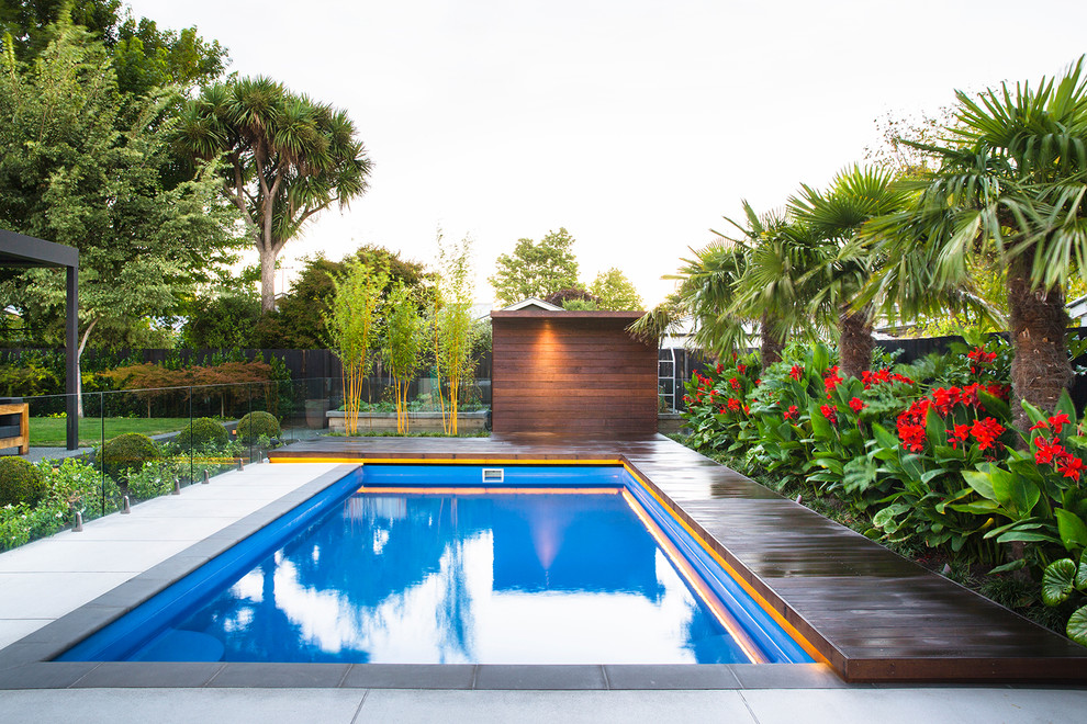 Imagen de piscina alargada tropical rectangular en patio trasero con entablado