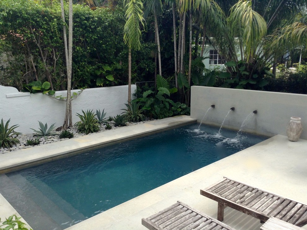 Modelo de piscina alargada actual de tamaño medio rectangular en patio trasero con adoquines de hormigón