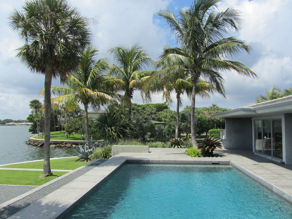 Foto di una piscina tropicale rettangolare di medie dimensioni e dietro casa con pavimentazioni in cemento