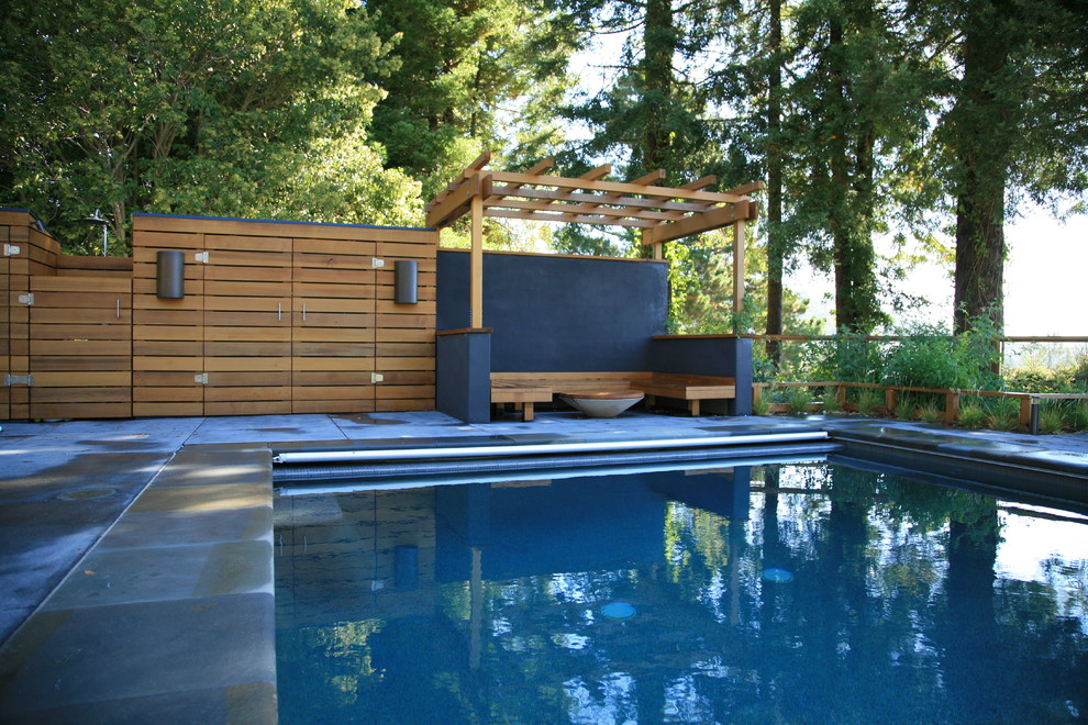 Свежая идея для дизайна: прямоугольный бассейн среднего размера на заднем дворе в стиле модернизм с покрытием из бетонных плит - отличное фото интерьера