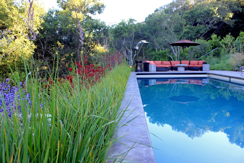 Immagine di una grande piscina monocorsia design rettangolare dietro casa con una vasca idromassaggio e lastre di cemento