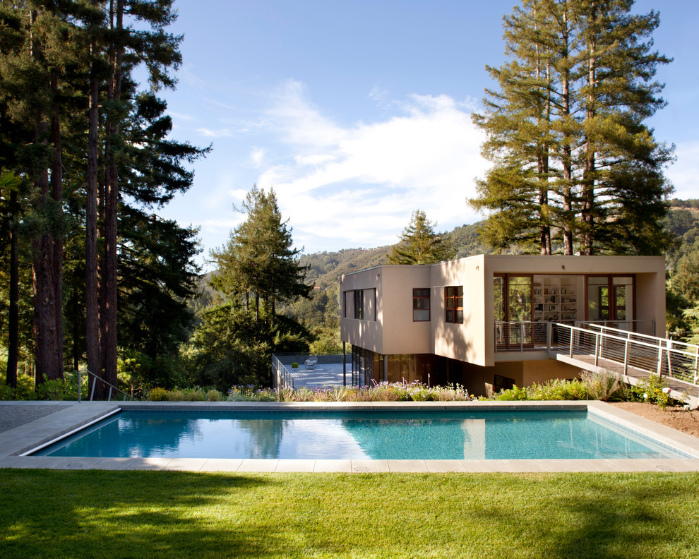 Immagine di una piscina moderna rettangolare di medie dimensioni e sul tetto