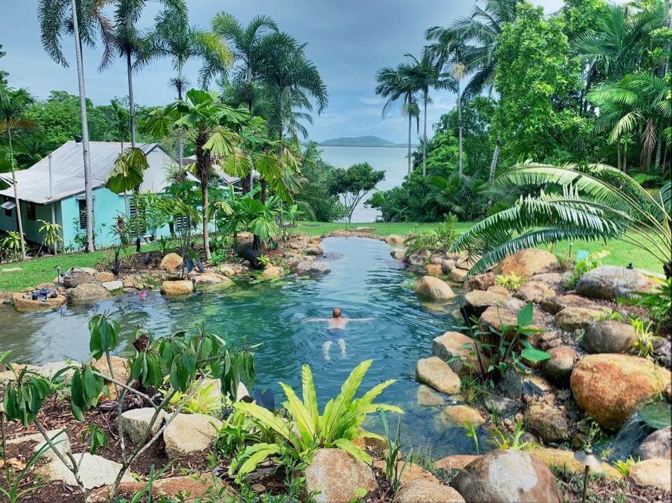 Immagine di una piscina naturale tropicale personalizzata di medie dimensioni e dietro casa
