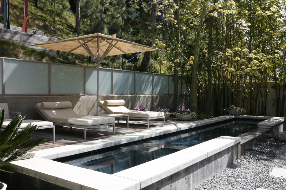 Imagen de piscina alargada contemporánea de tamaño medio rectangular en patio trasero con gravilla