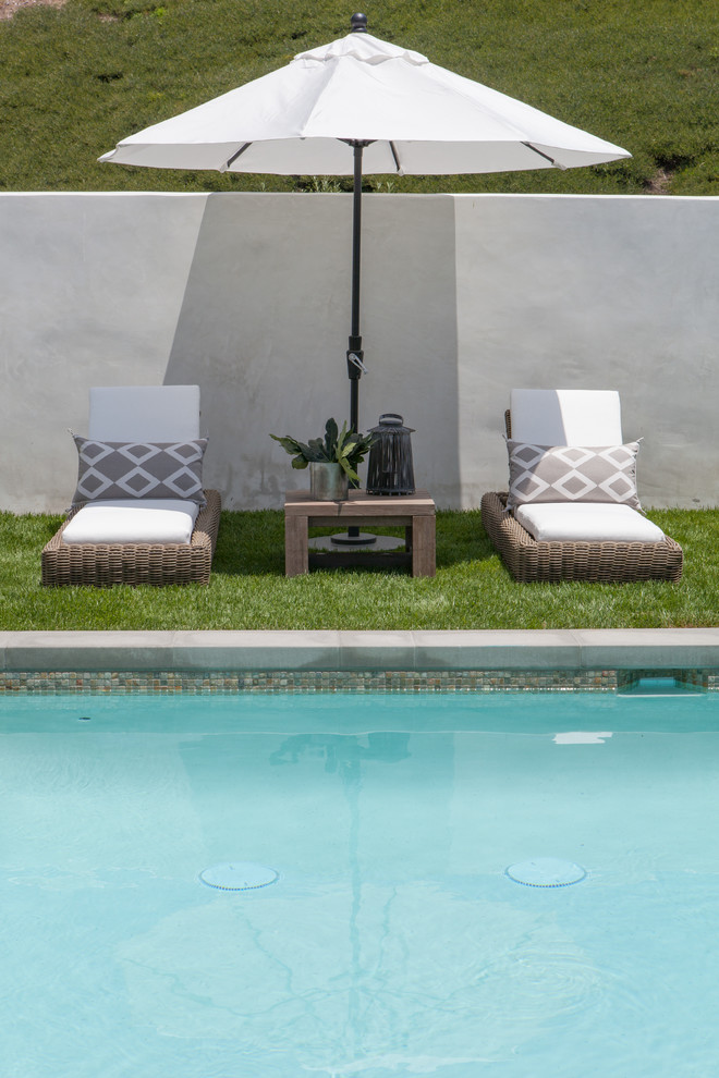 Cette image montre une piscine design rectangle avec une cour.