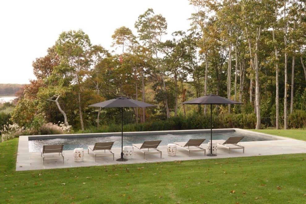 Diseño de piscina natural actual grande redondeada en patio trasero con adoquines de hormigón