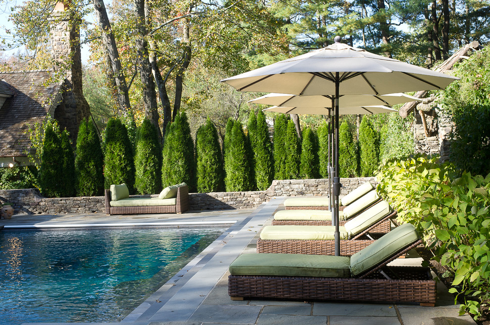 Modelo de piscina alargada moderna rectangular en patio trasero con adoquines de piedra natural