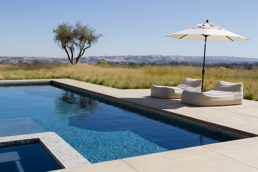 Cette image montre une grande piscine arrière minimaliste rectangle avec un point d'eau et des pavés en béton.