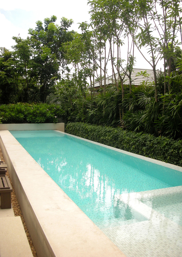 Foto de piscinas y jacuzzis elevados minimalistas de tamaño medio rectangulares en patio trasero