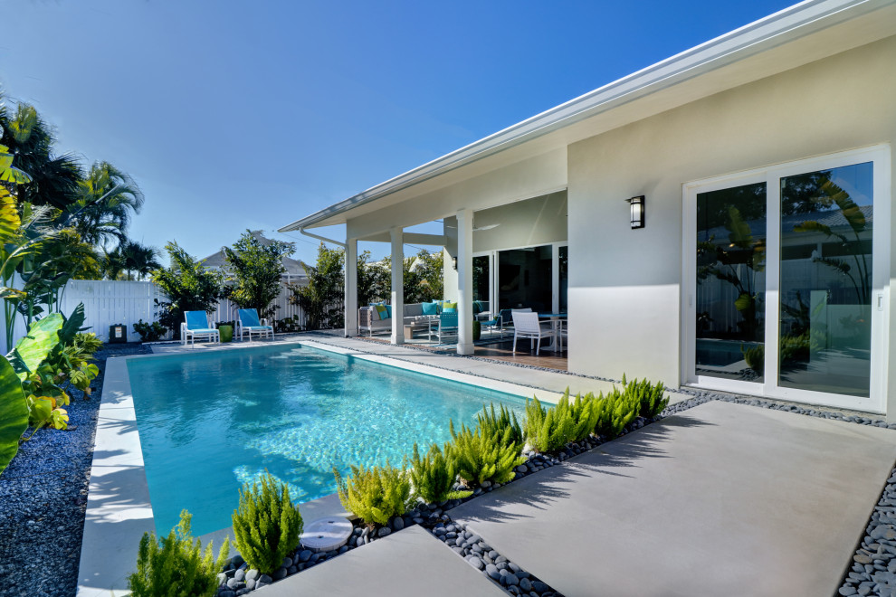 Kleiner Moderner Pool hinter dem Haus mit Stempelbeton in Tampa