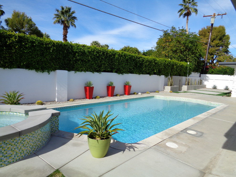 Huge 1950s backyard concrete and custom-shaped natural pool fountain photo in Other