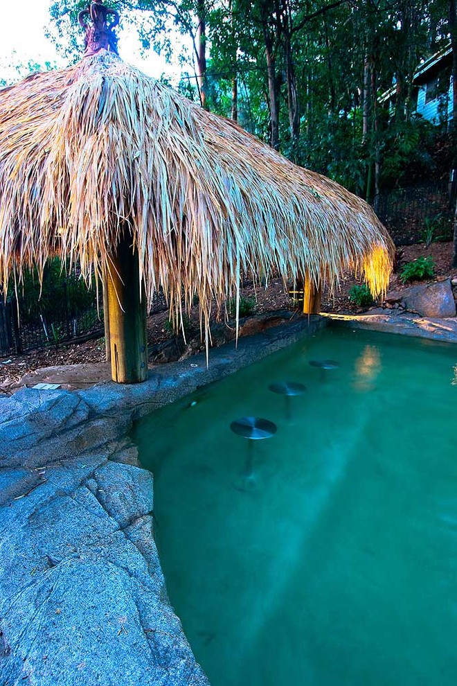 Immagine di una piscina naturale tropicale personalizzata di medie dimensioni e davanti casa con un acquascivolo e cemento stampato
